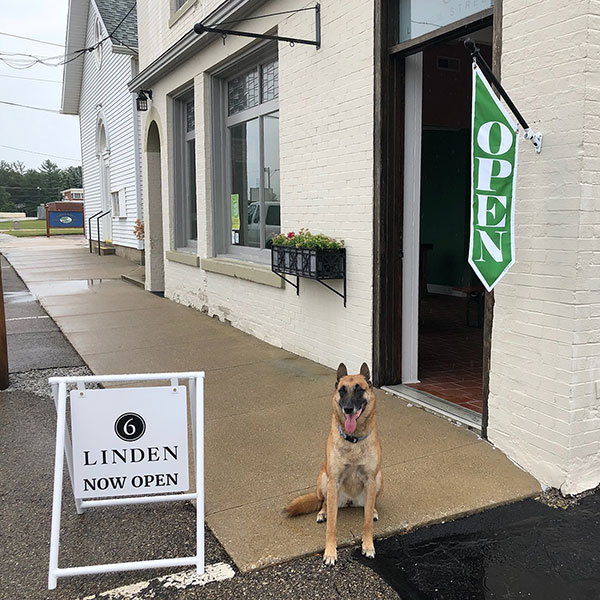 German Shepherd sitting in front of storefront